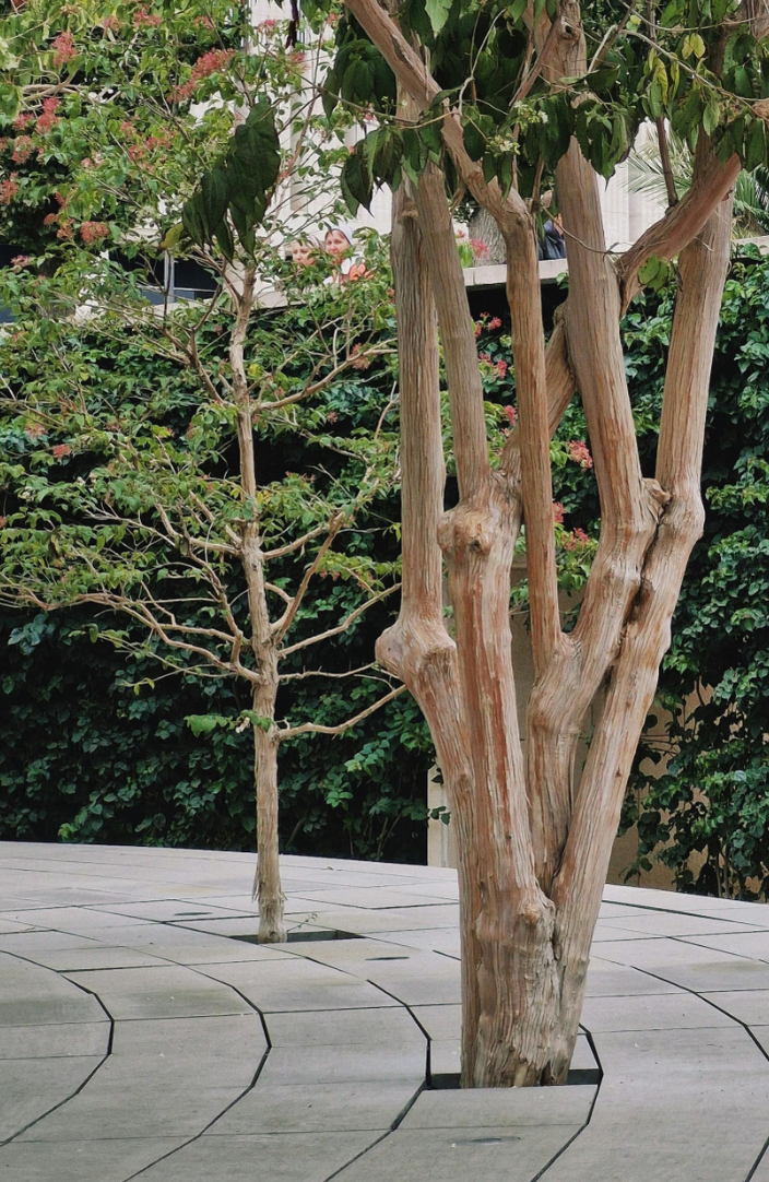 property_image_undefined