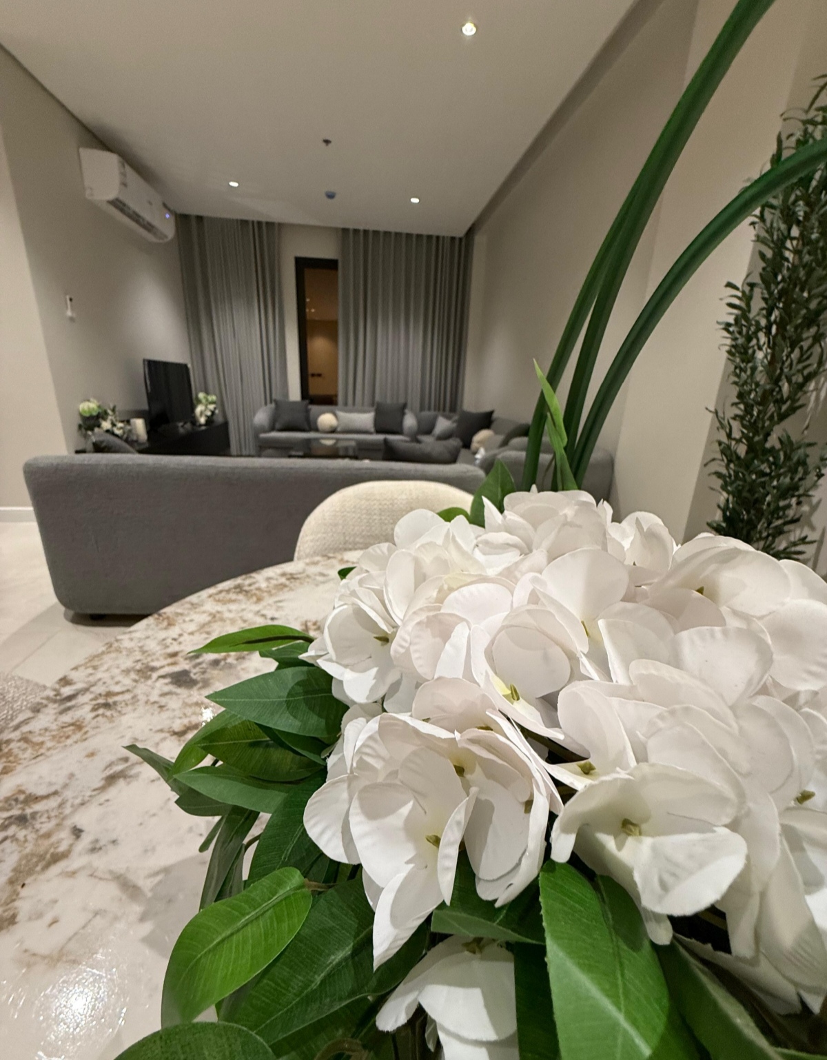 property_image_undefined