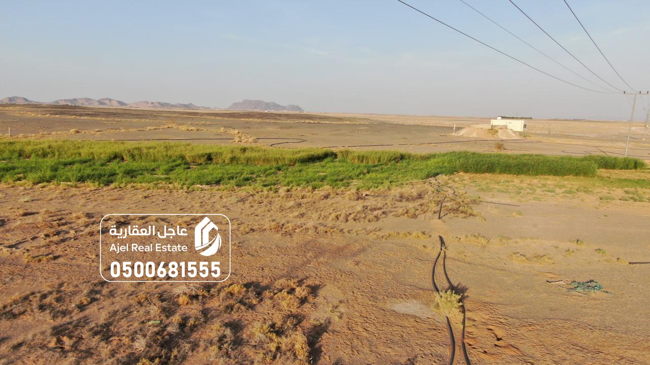 property_image_22671