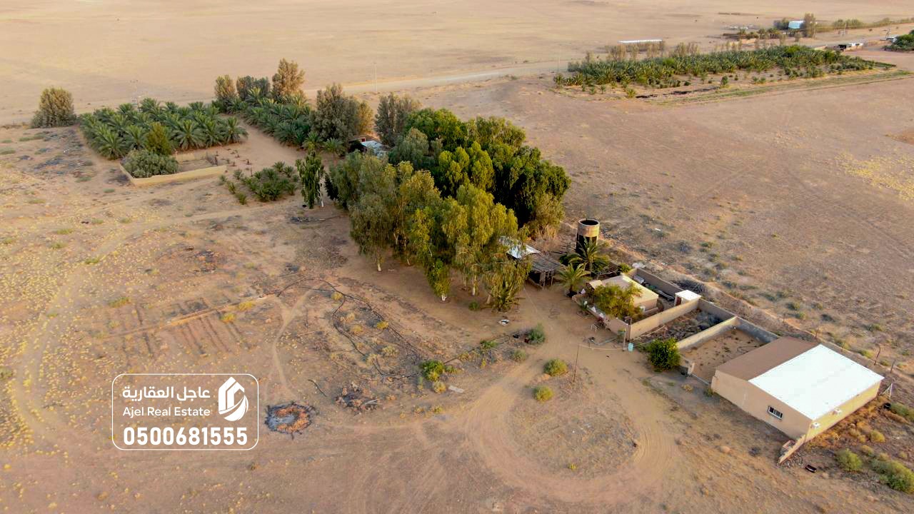 property_image_undefined