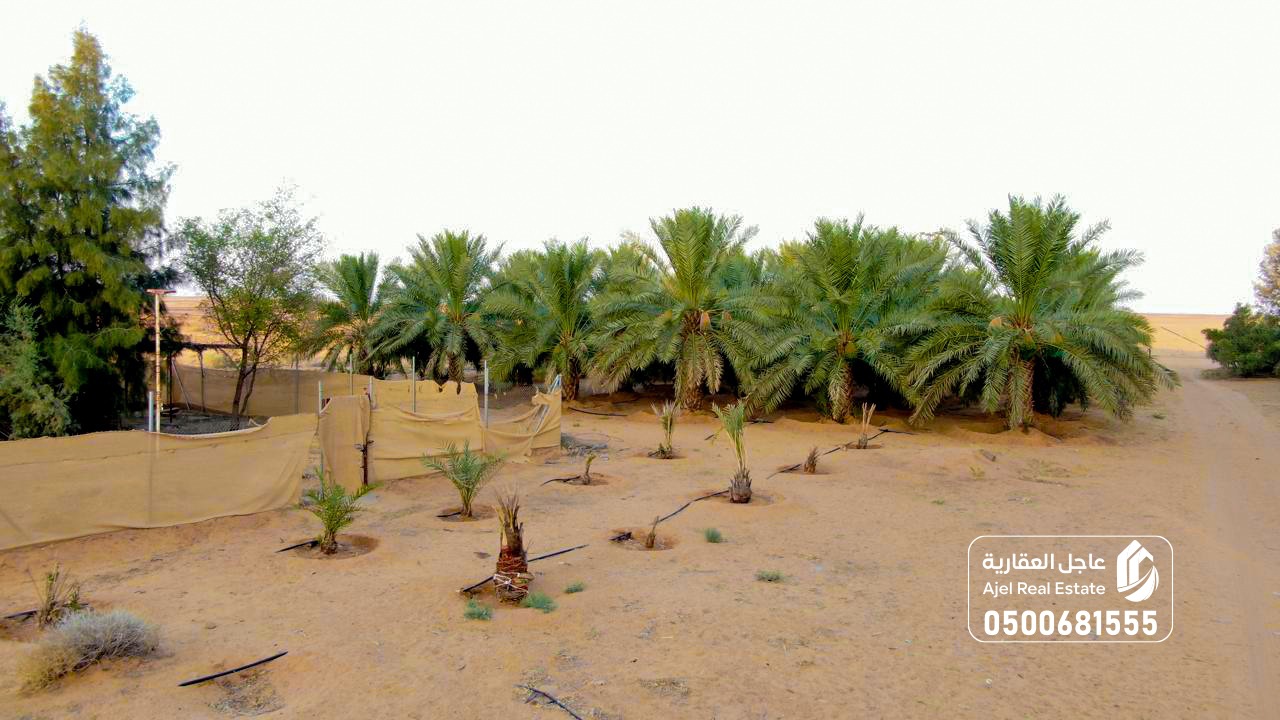 property_image_undefined