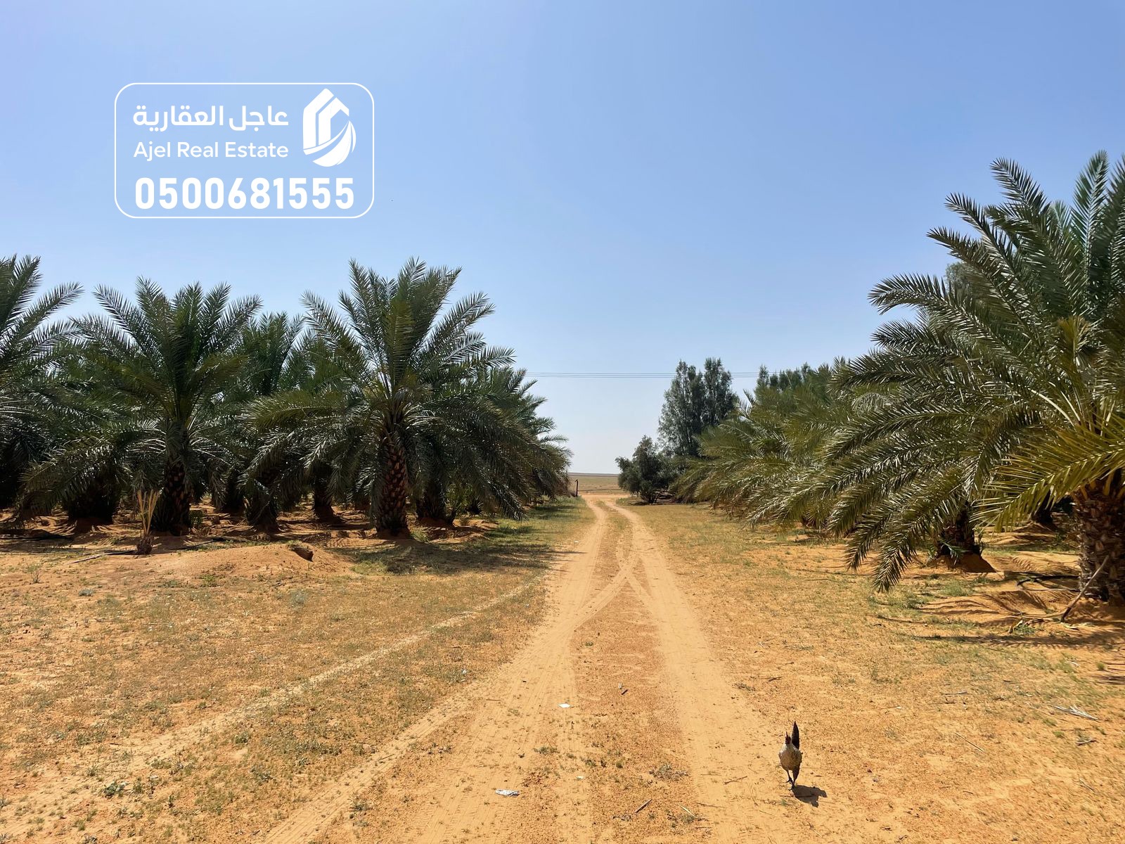 property_image_undefined