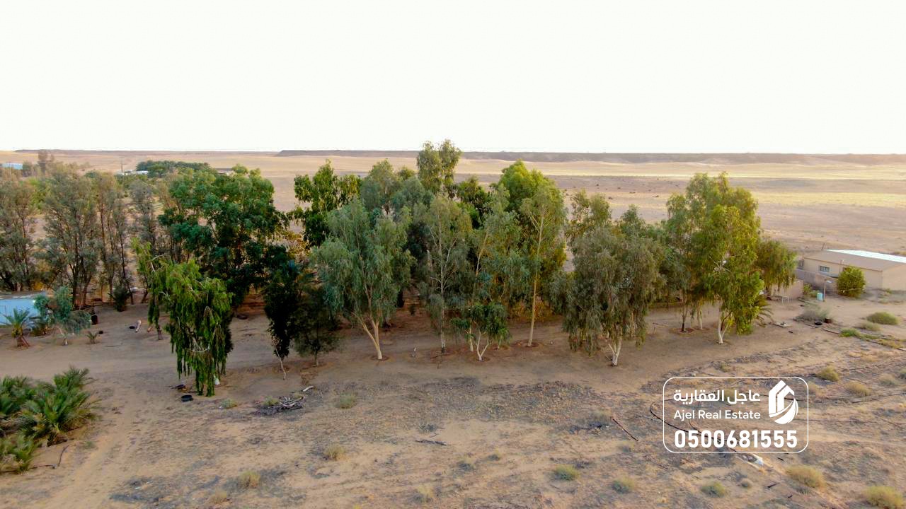 property_image_undefined