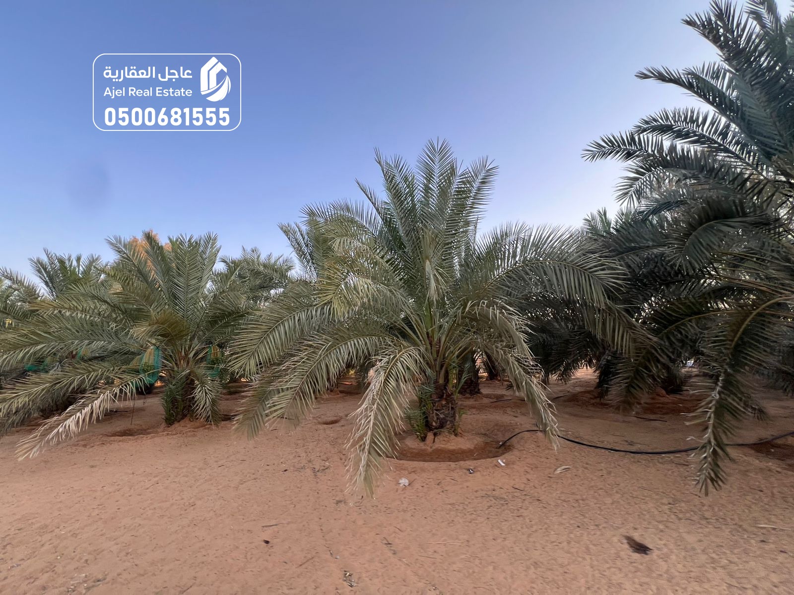 property_image_undefined