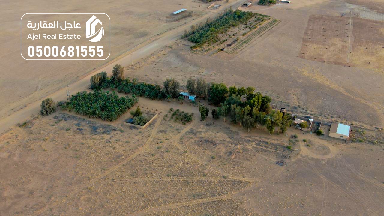 property_image_undefined