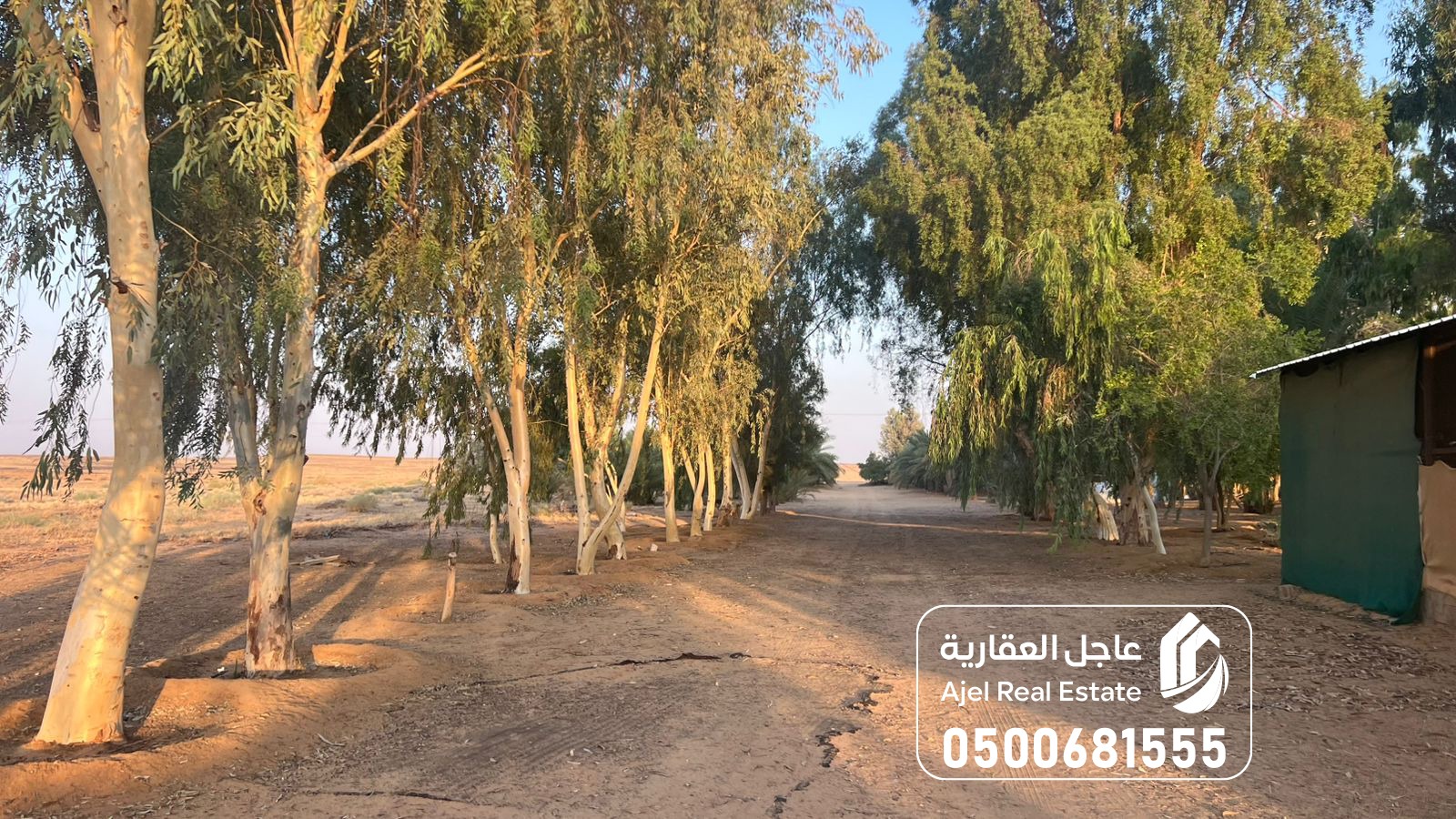 property_image_undefined