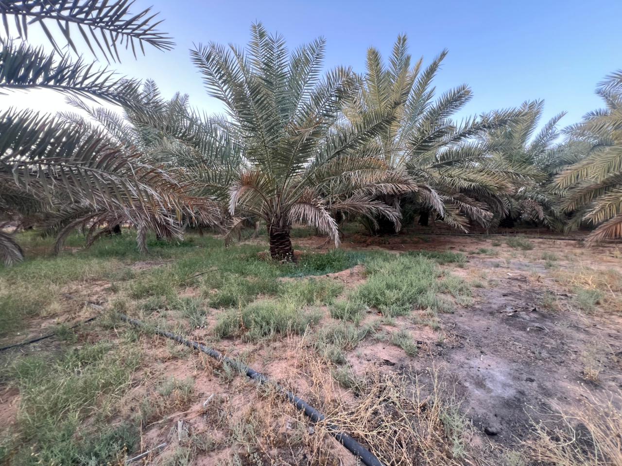 property_image_undefined