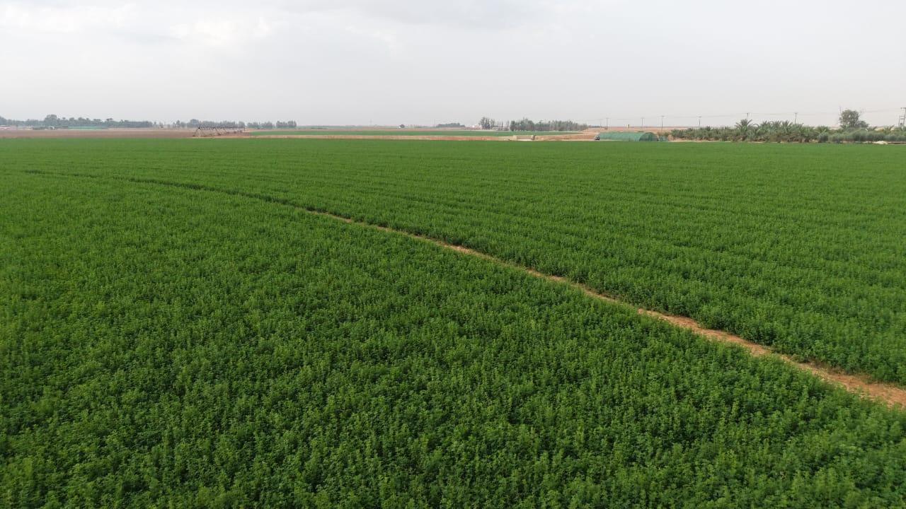 property_image_undefined