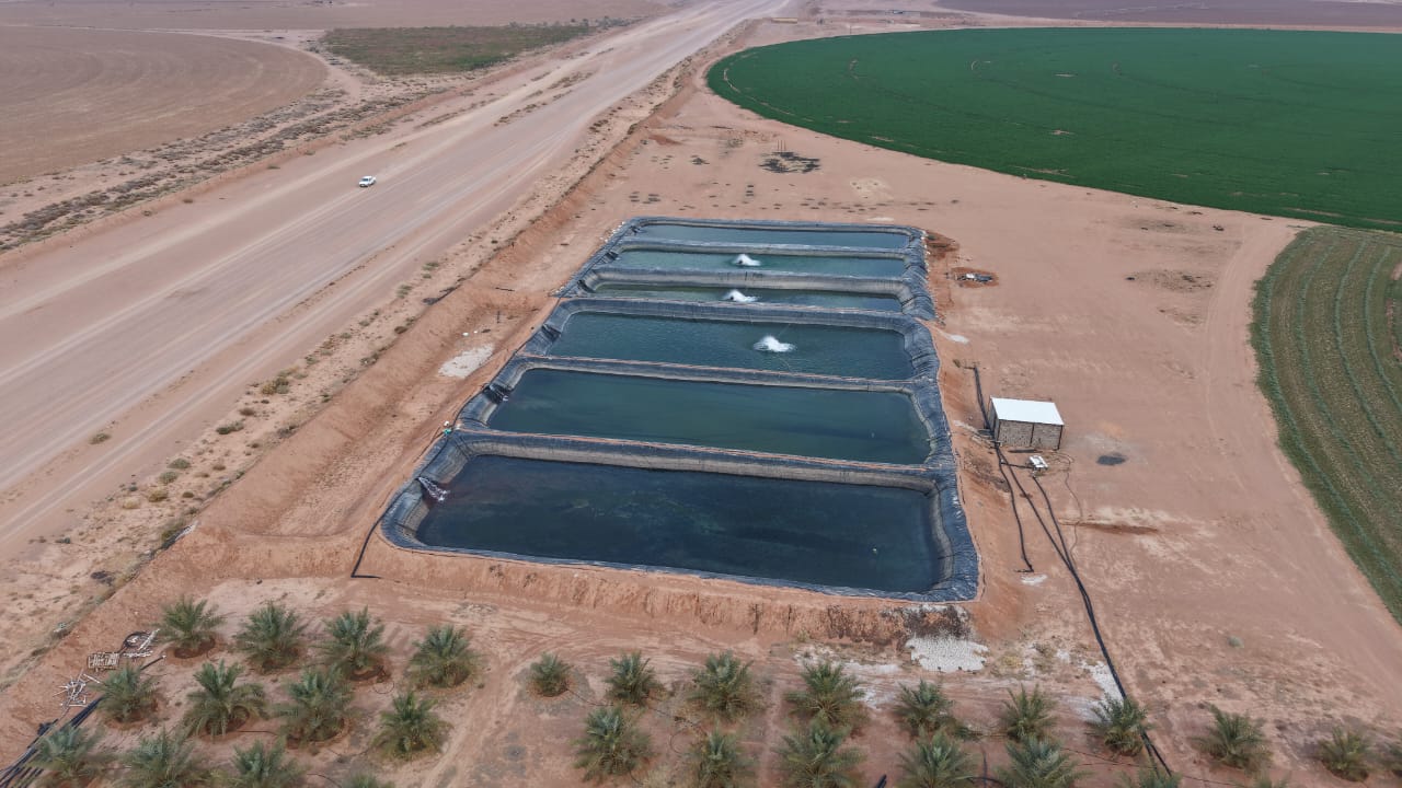 property_image_undefined