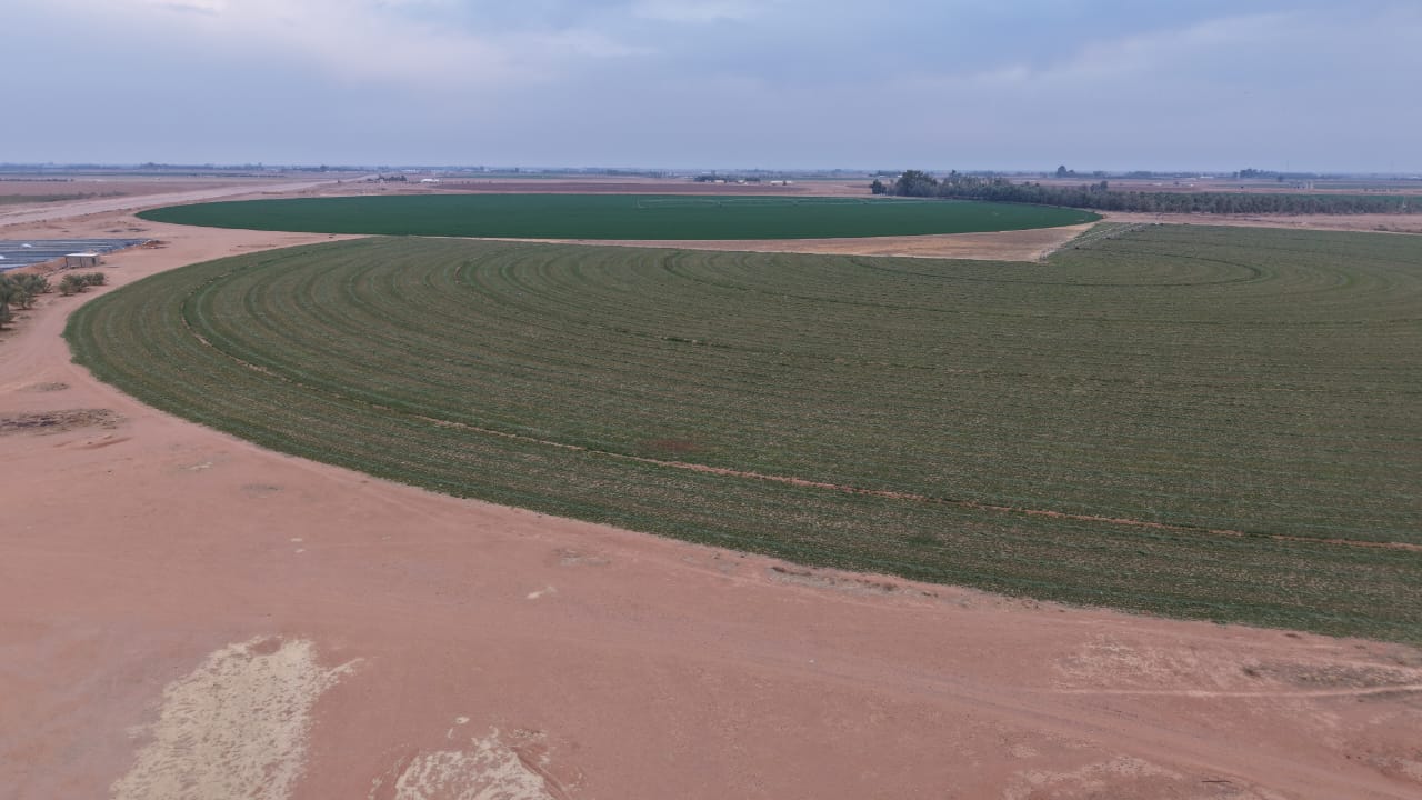 property_image_undefined