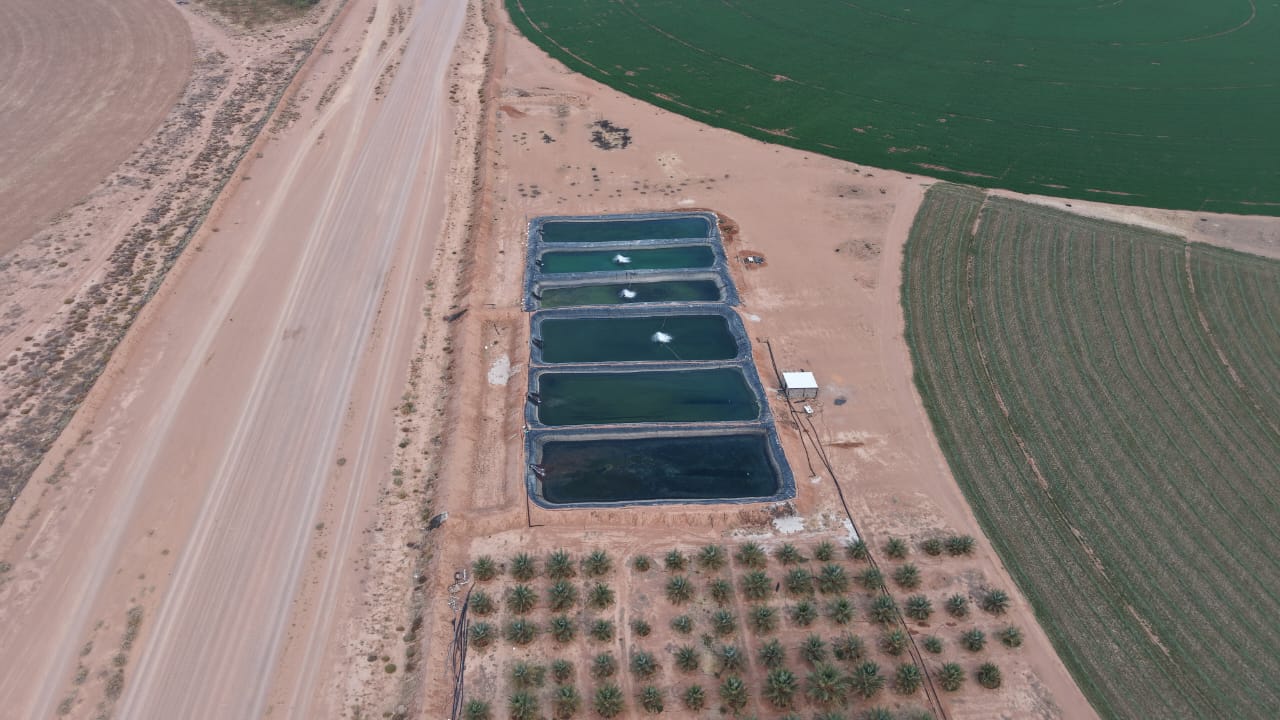 property_image_undefined