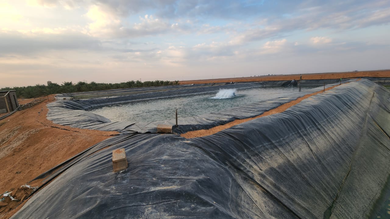 property_image_undefined