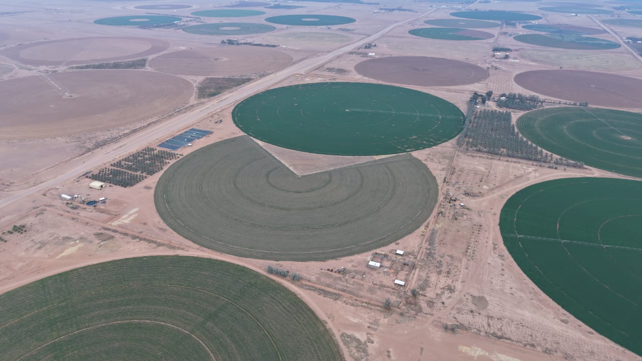 property_image_undefined