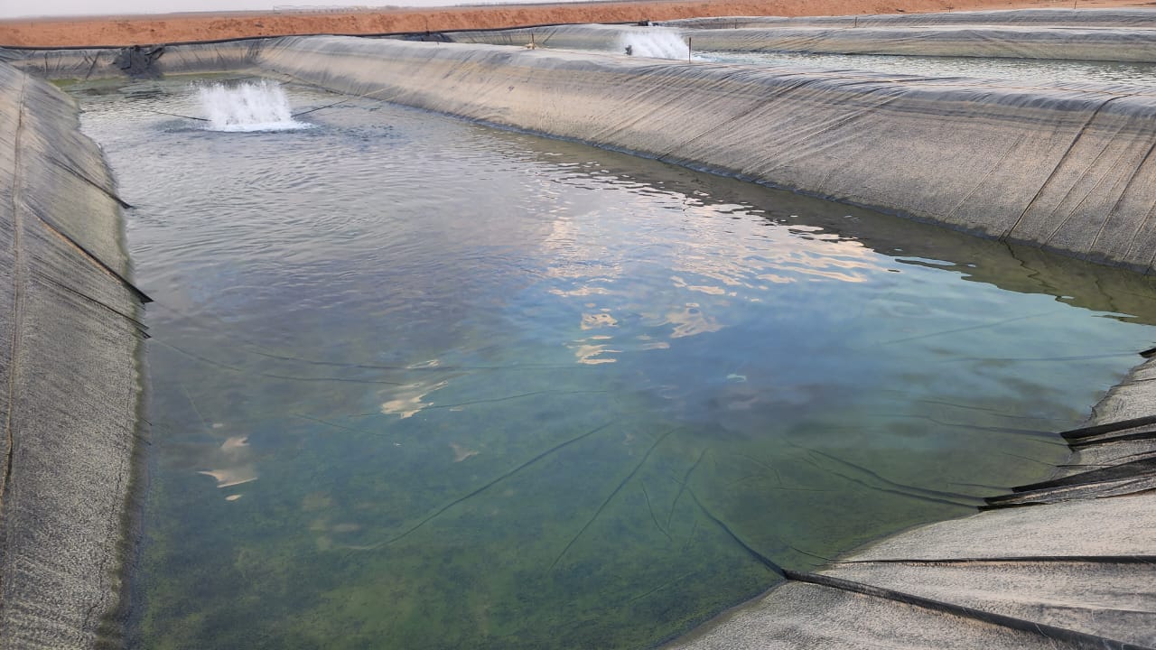 property_image_undefined