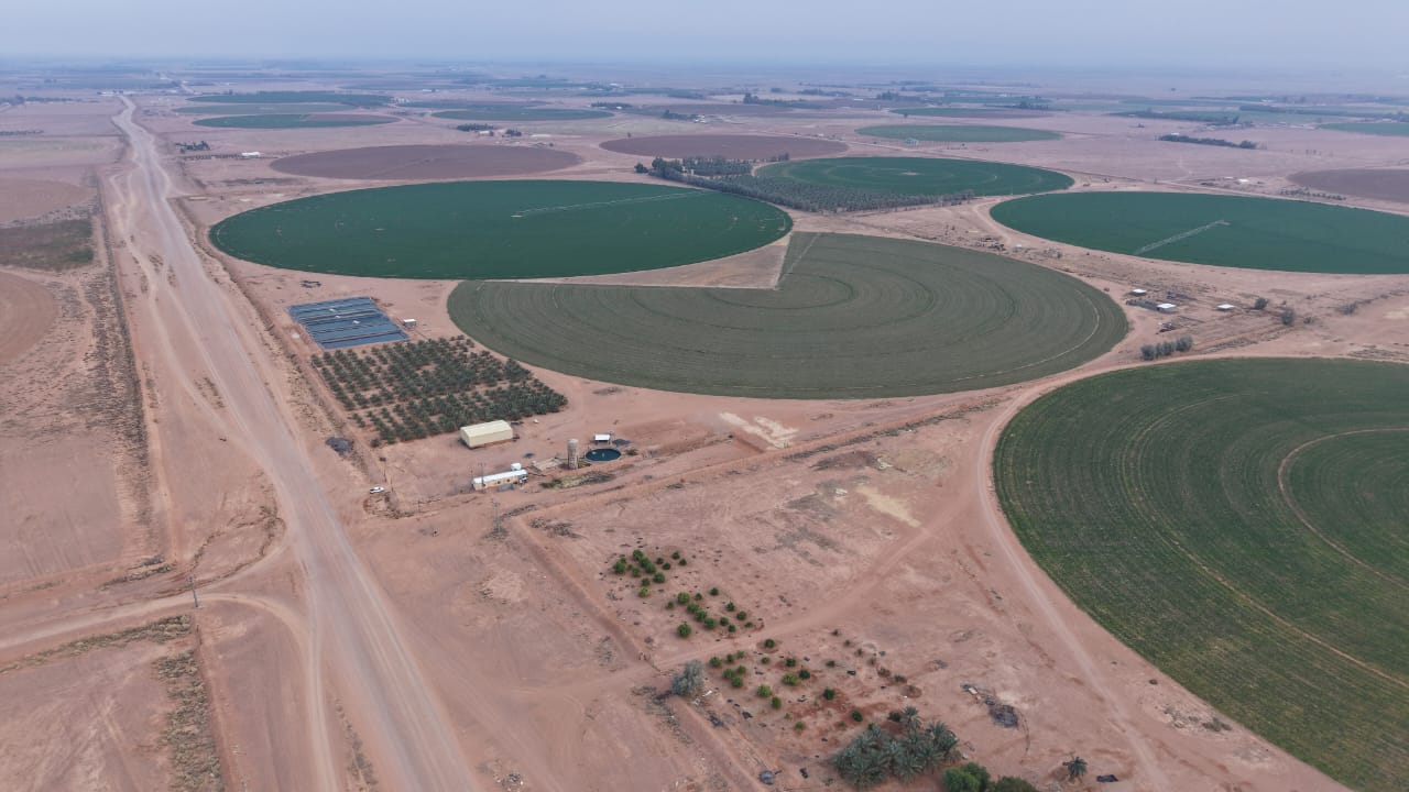 property_image_undefined