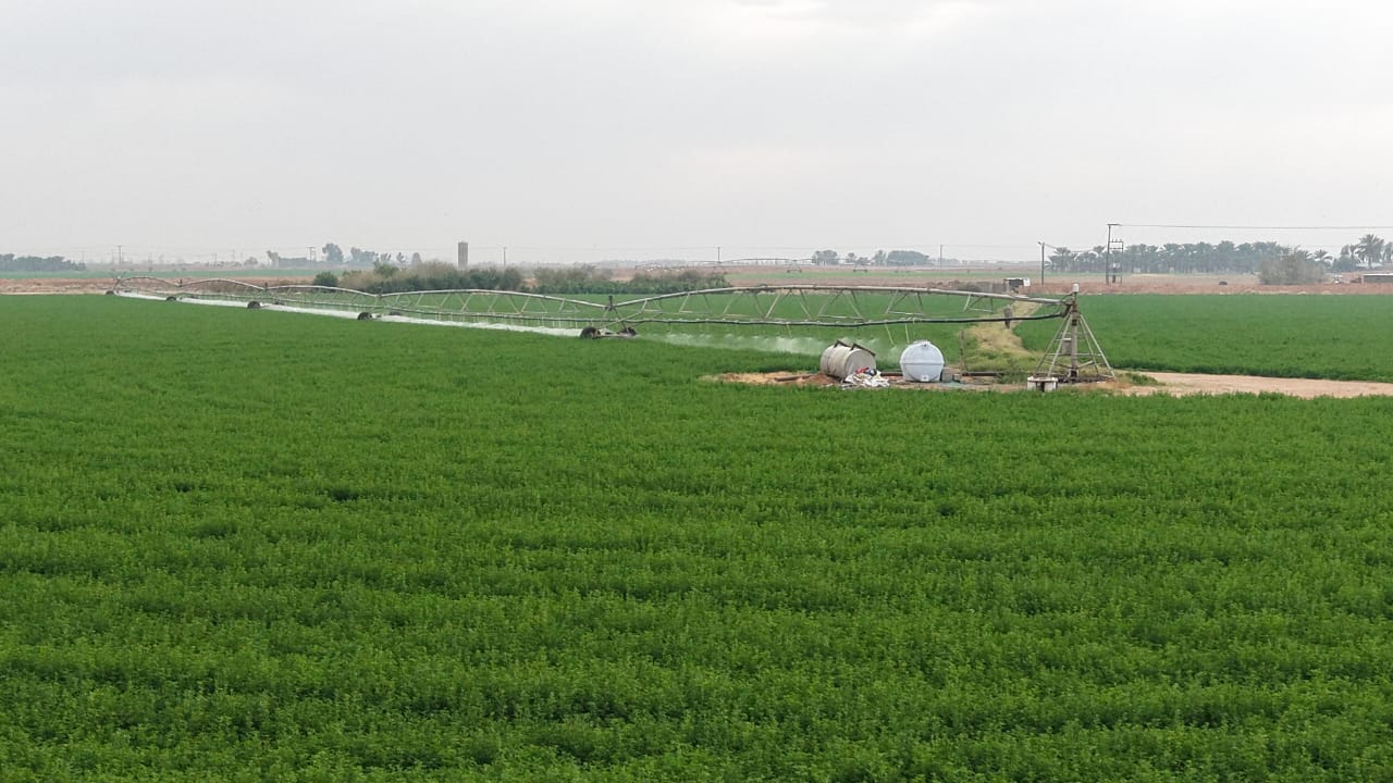 property_image_undefined