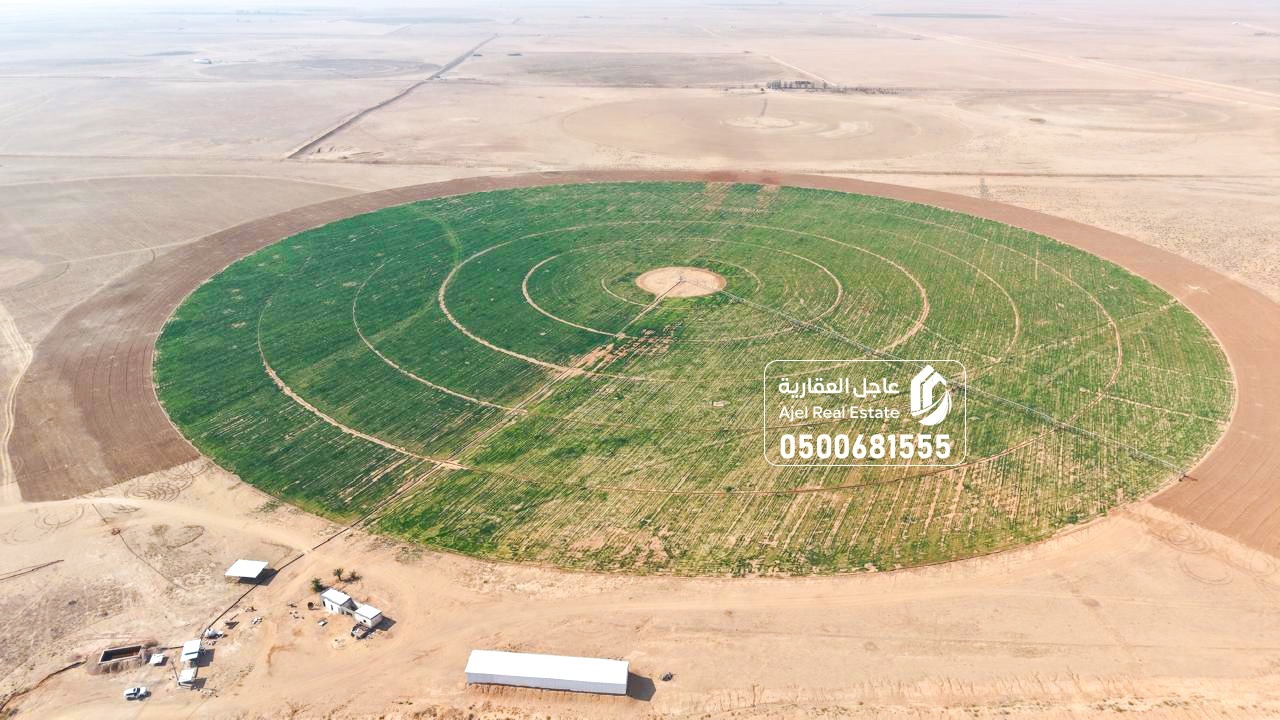 property_image_undefined