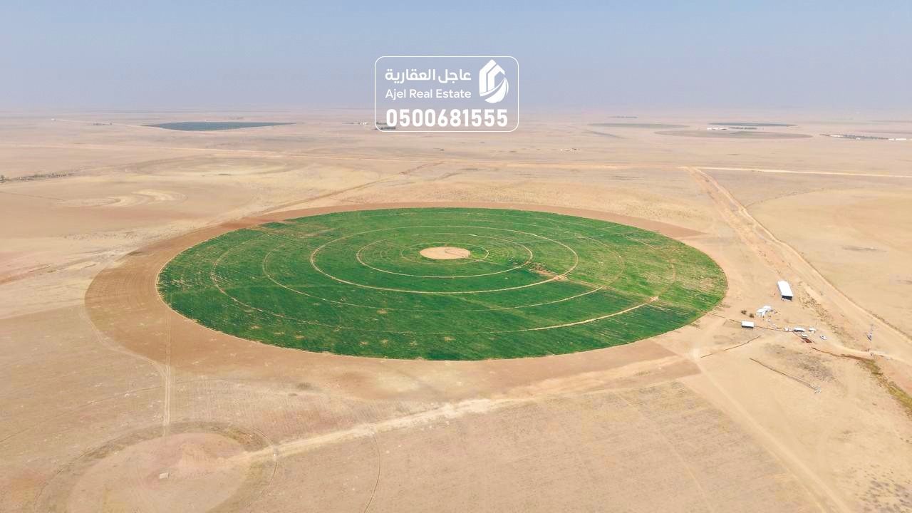 property_image_undefined