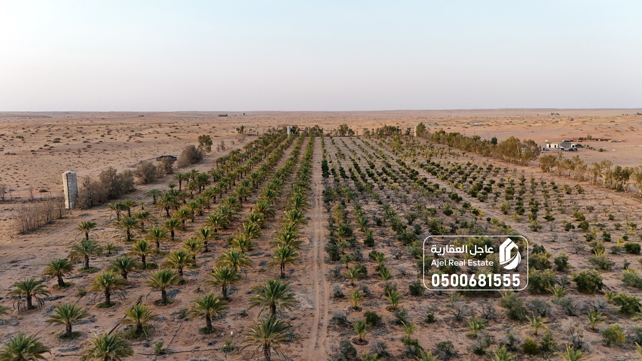 property_image_undefined