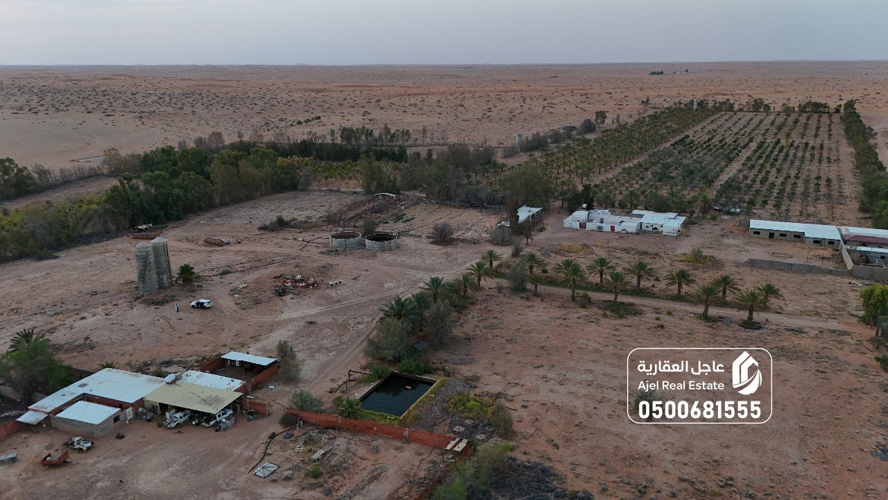 property_image_undefined