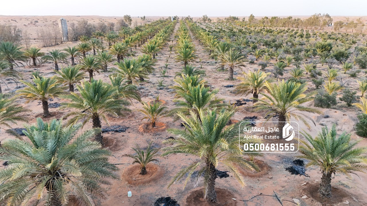 property_image_undefined