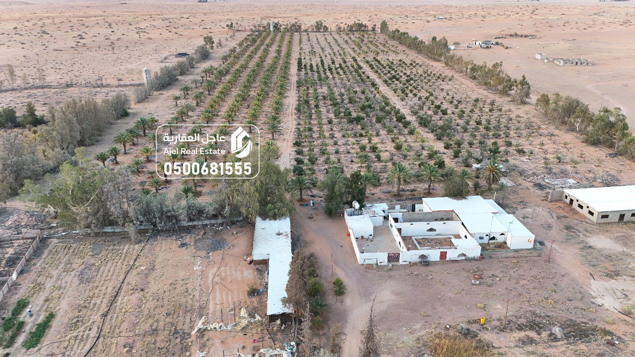 property_image_undefined