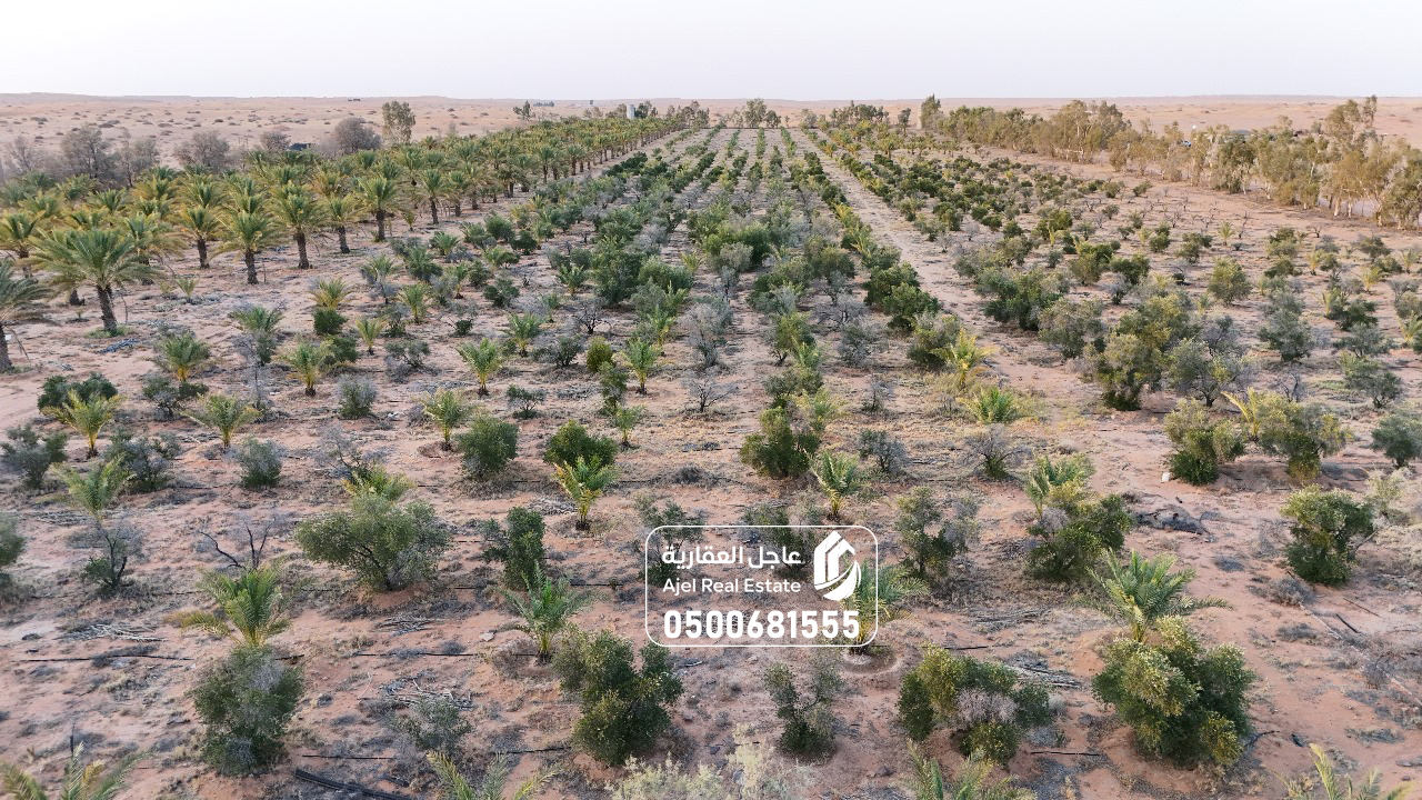 property_image_undefined