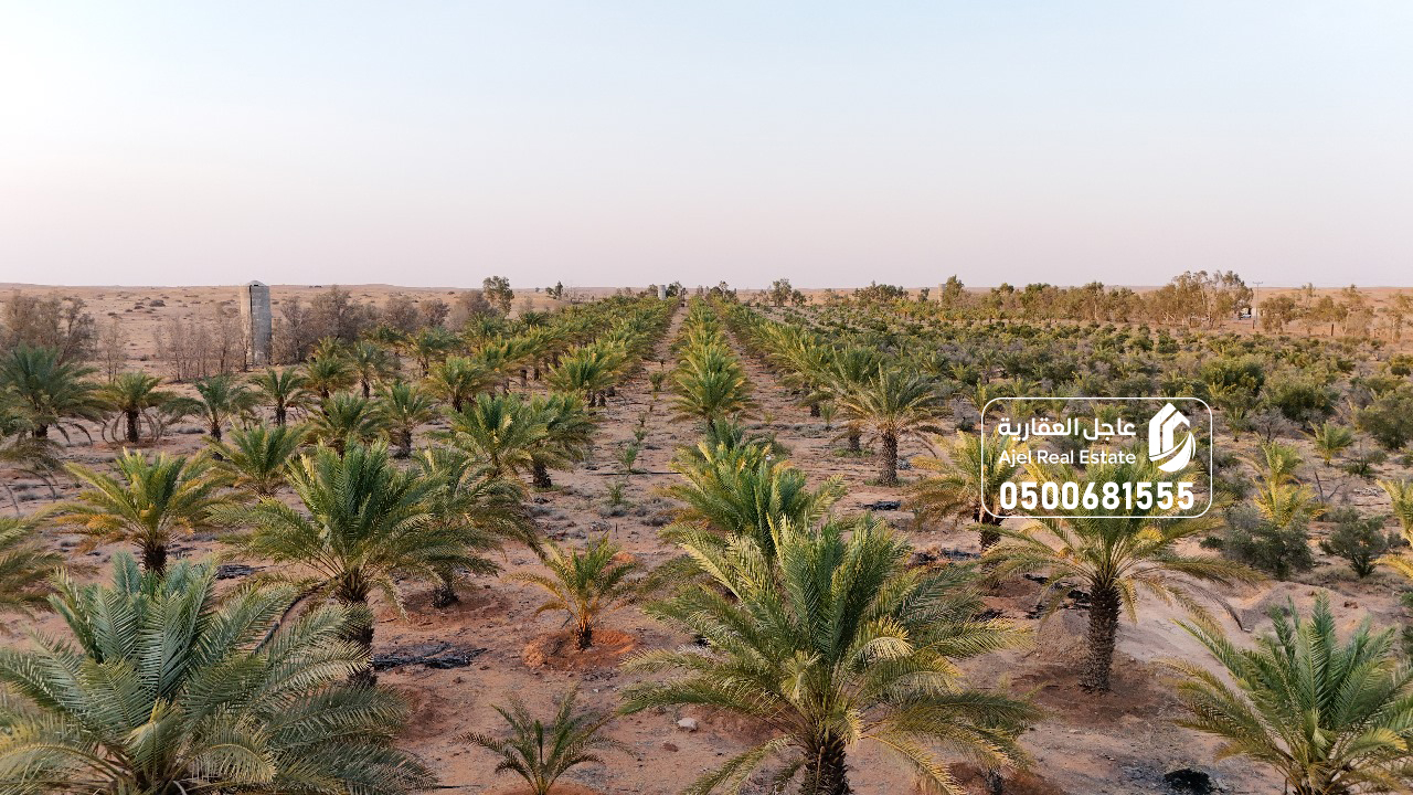 property_image_undefined