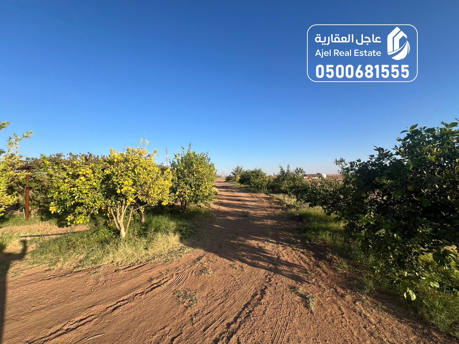 property_image_undefined