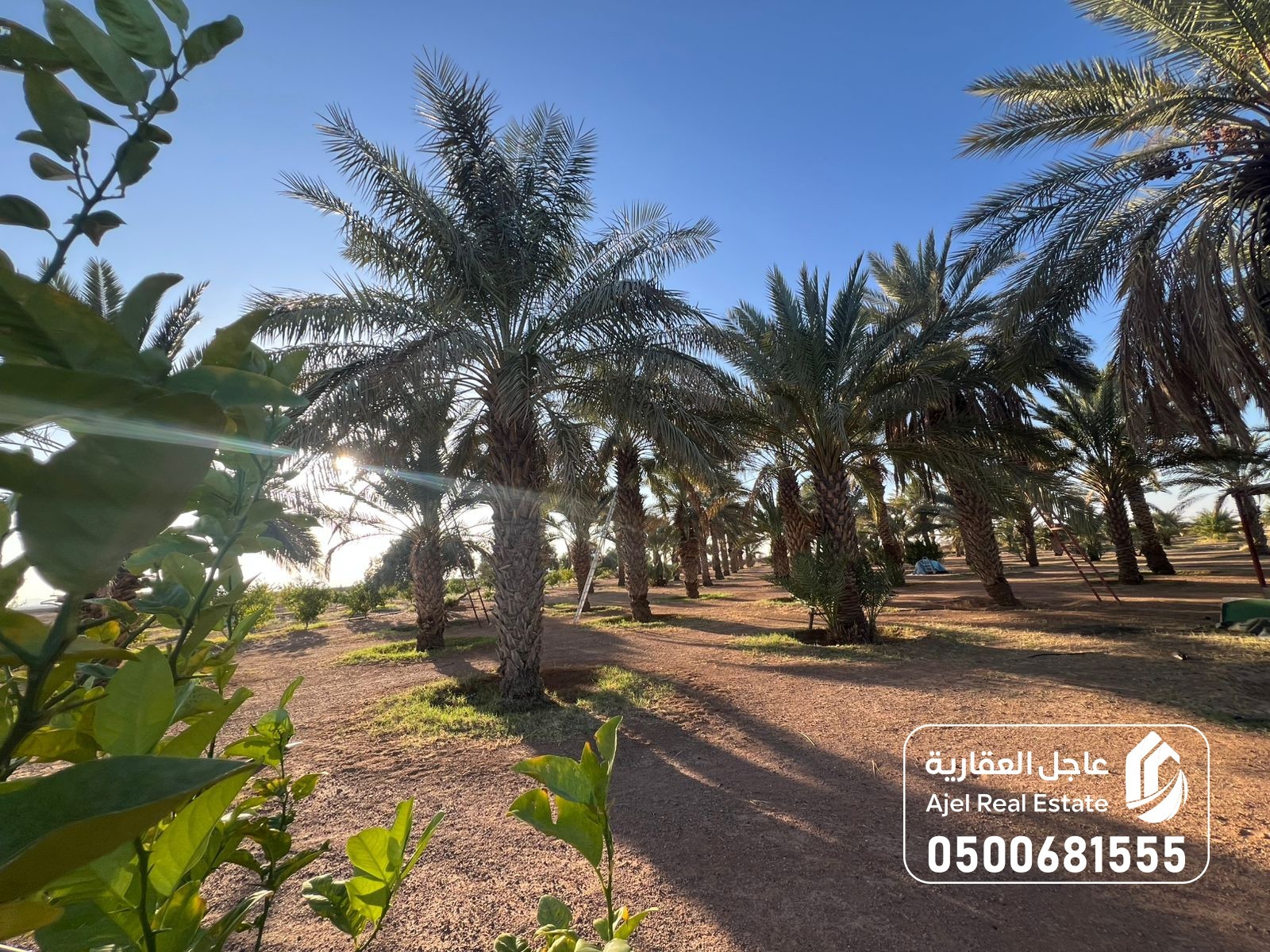 property_image_undefined