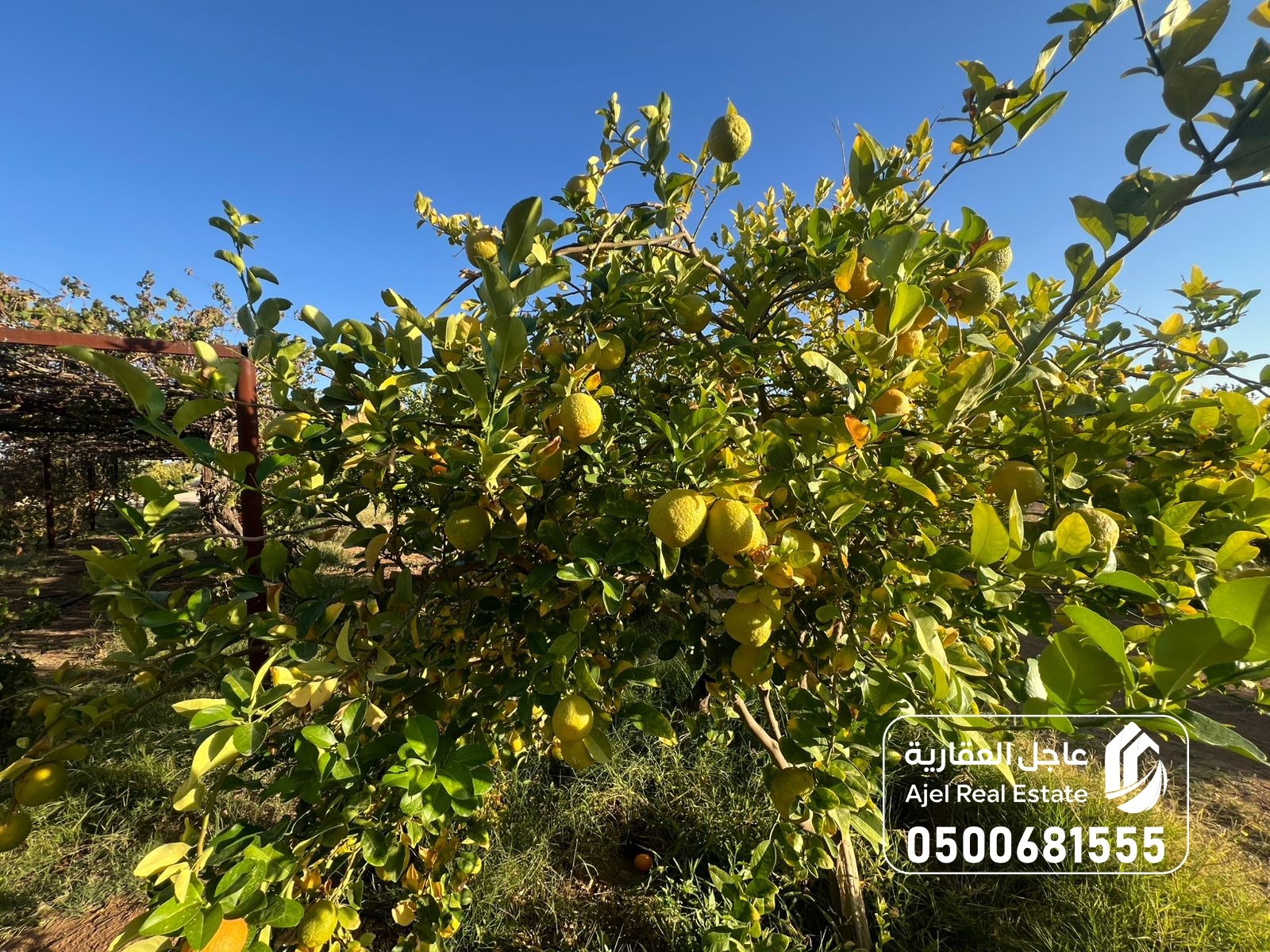 property_image_undefined