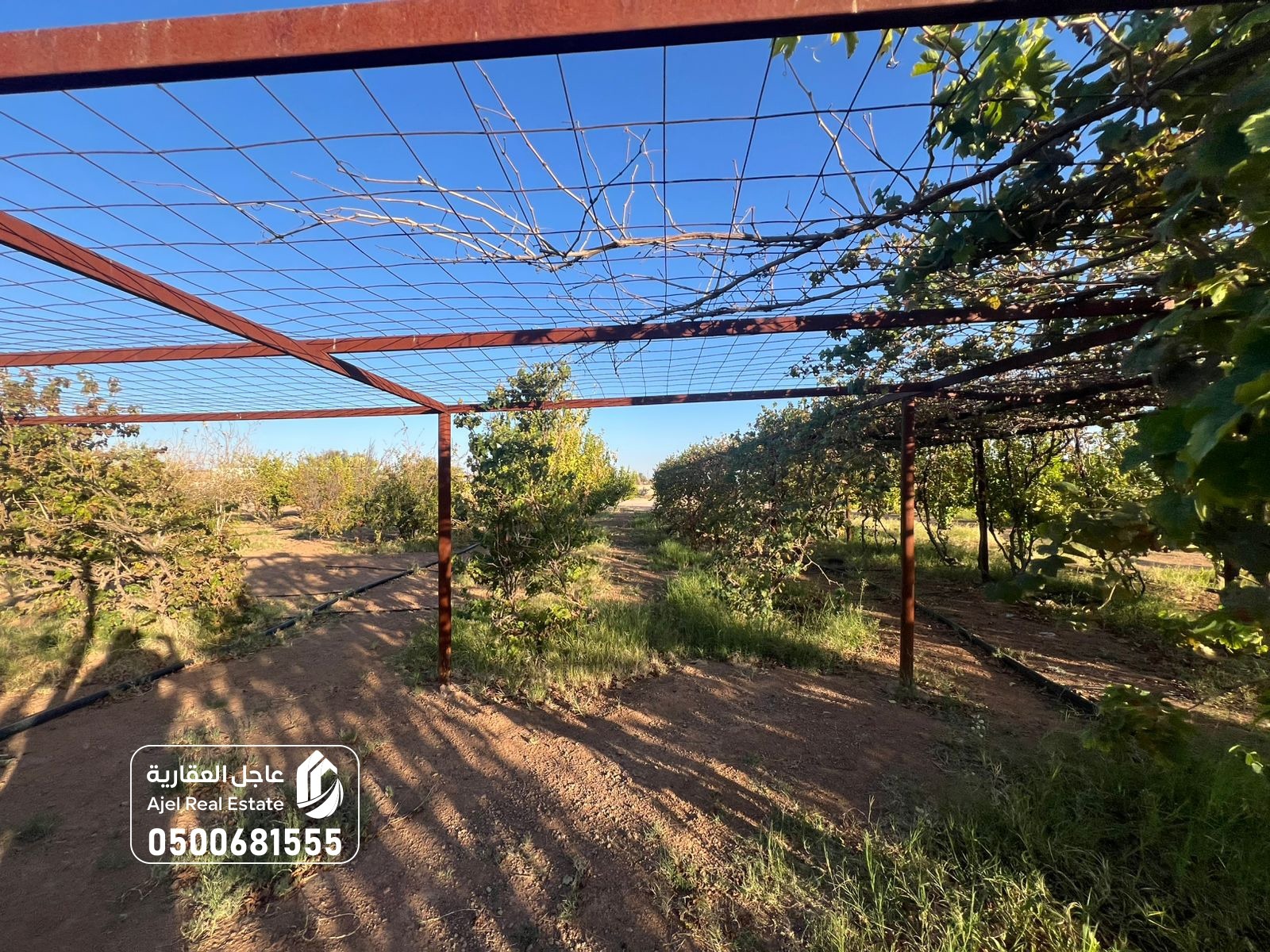 property_image_undefined