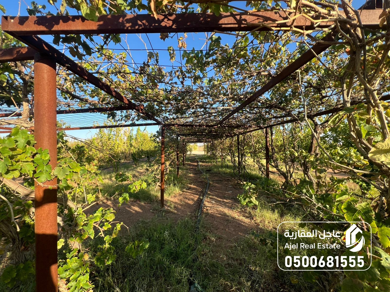 property_image_undefined