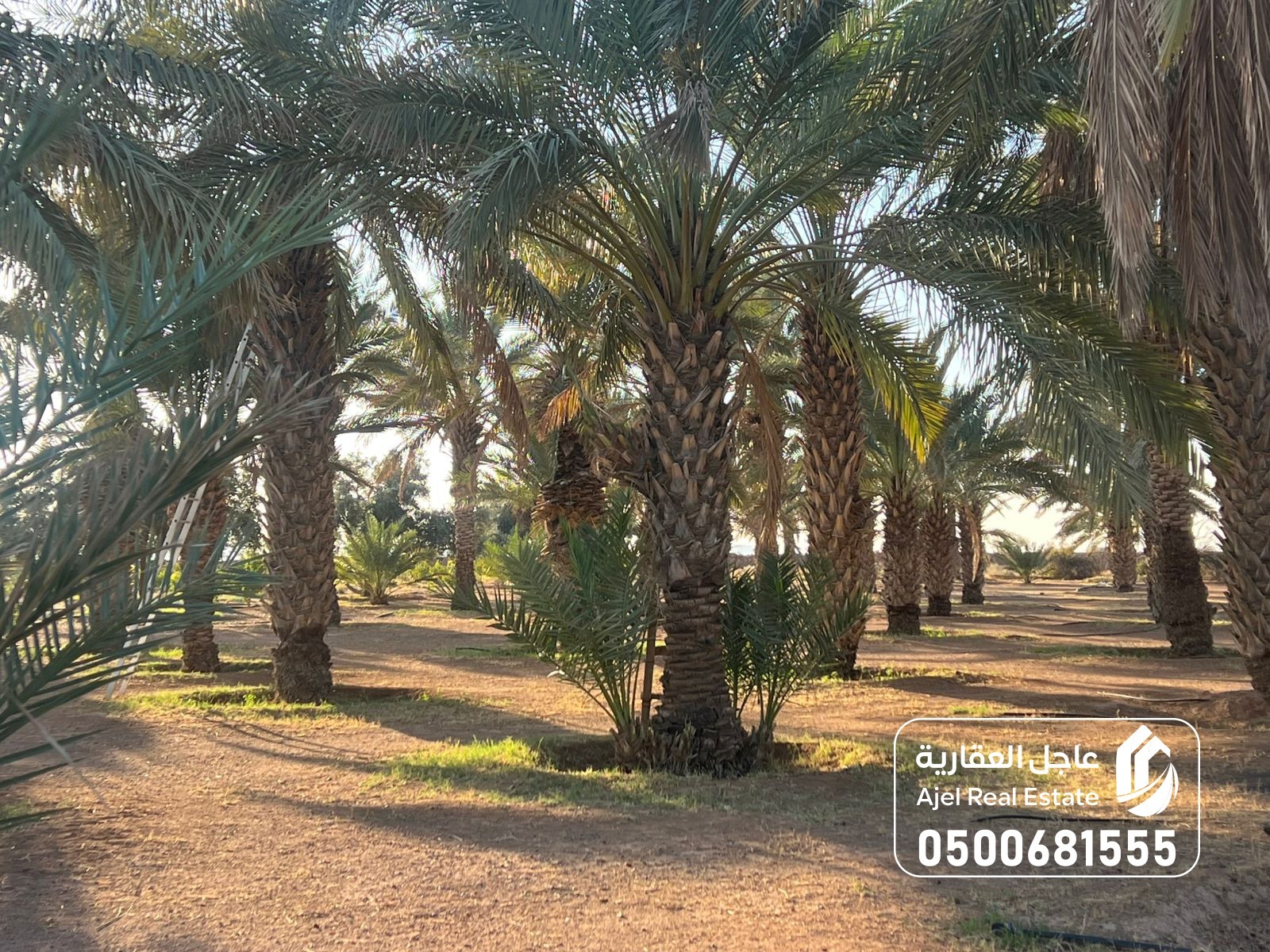 property_image_undefined